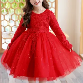 Girls Long Sleeve Flower Dress Multi-layer Lace Tulle Thick Pageant Dresses
