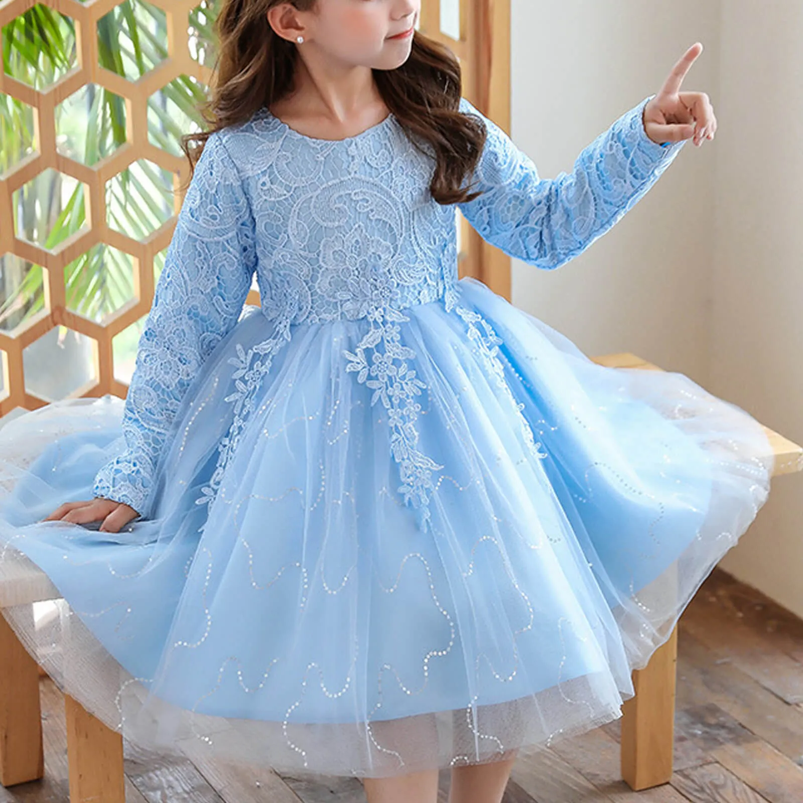 Girls Long Sleeve Flower Dress Multi-layer Lace Tulle Thick Pageant Dresses