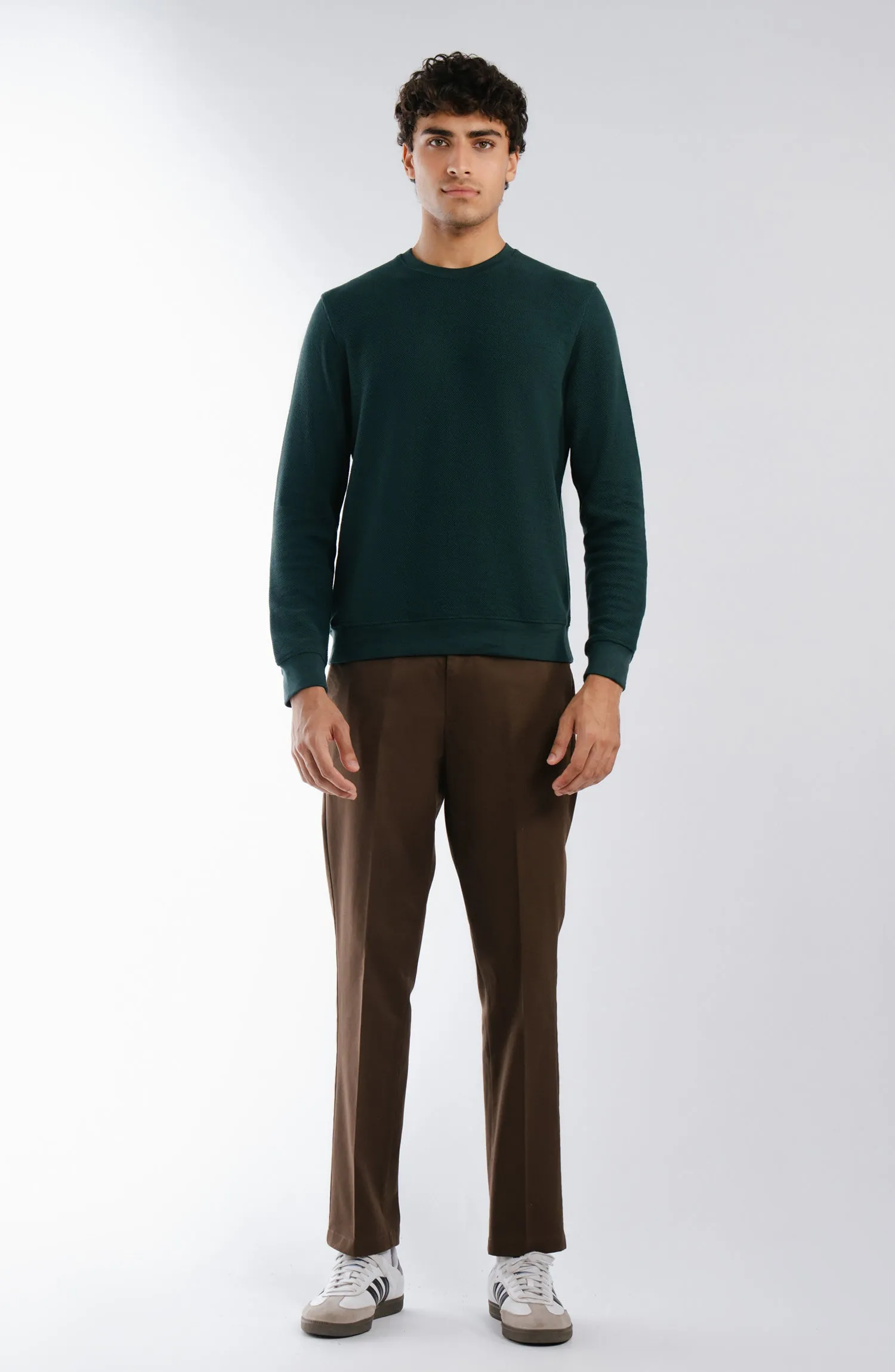 Wrinkle Free Pants - Brown